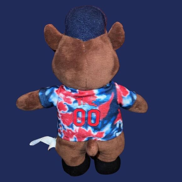 2022 Minnesota Twins Build A Bear TC Mascot Plush Stuffed Bear US Bank - Picture 4 of 4